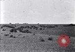 Image of U.S. Army 1st Cavalry Division maneuvers in Marfa, Texas Texas United States USA, 1923, second 34 stock footage video 65675036453