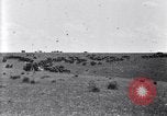 Image of U.S. Army 1st Cavalry Division maneuvers in Marfa, Texas Texas United States USA, 1923, second 35 stock footage video 65675036453
