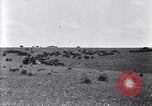 Image of U.S. Army 1st Cavalry Division maneuvers in Marfa, Texas Texas United States USA, 1923, second 36 stock footage video 65675036453
