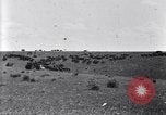 Image of U.S. Army 1st Cavalry Division maneuvers in Marfa, Texas Texas United States USA, 1923, second 37 stock footage video 65675036453