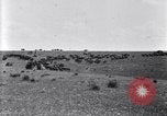 Image of U.S. Army 1st Cavalry Division maneuvers in Marfa, Texas Texas United States USA, 1923, second 38 stock footage video 65675036453