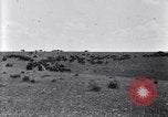 Image of U.S. Army 1st Cavalry Division maneuvers in Marfa, Texas Texas United States USA, 1923, second 39 stock footage video 65675036453