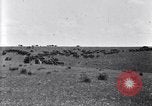 Image of U.S. Army 1st Cavalry Division maneuvers in Marfa, Texas Texas United States USA, 1923, second 40 stock footage video 65675036453