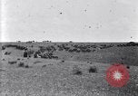 Image of U.S. Army 1st Cavalry Division maneuvers in Marfa, Texas Texas United States USA, 1923, second 44 stock footage video 65675036453