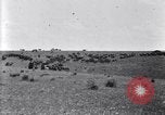 Image of U.S. Army 1st Cavalry Division maneuvers in Marfa, Texas Texas United States USA, 1923, second 45 stock footage video 65675036453