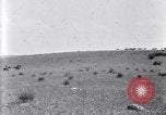 Image of U.S. Army 1st Cavalry Division maneuvers in Marfa, Texas Texas United States USA, 1923, second 47 stock footage video 65675036453