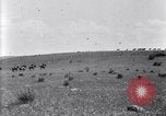 Image of U.S. Army 1st Cavalry Division maneuvers in Marfa, Texas Texas United States USA, 1923, second 50 stock footage video 65675036453