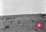 Image of U.S. Army 1st Cavalry Division maneuvers in Marfa, Texas Texas United States USA, 1923, second 51 stock footage video 65675036453