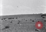 Image of U.S. Army 1st Cavalry Division maneuvers in Marfa, Texas Texas United States USA, 1923, second 52 stock footage video 65675036453