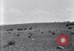 Image of U.S. Army 1st Cavalry Division maneuvers in Marfa, Texas Texas United States USA, 1923, second 53 stock footage video 65675036453