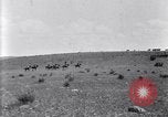 Image of U.S. Army 1st Cavalry Division maneuvers in Marfa, Texas Texas United States USA, 1923, second 54 stock footage video 65675036453