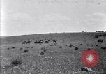 Image of U.S. Army 1st Cavalry Division maneuvers in Marfa, Texas Texas United States USA, 1923, second 55 stock footage video 65675036453