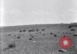 Image of U.S. Army 1st Cavalry Division maneuvers in Marfa, Texas Texas United States USA, 1923, second 56 stock footage video 65675036453