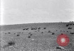 Image of U.S. Army 1st Cavalry Division maneuvers in Marfa, Texas Texas United States USA, 1923, second 57 stock footage video 65675036453