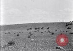 Image of U.S. Army 1st Cavalry Division maneuvers in Marfa, Texas Texas United States USA, 1923, second 58 stock footage video 65675036453