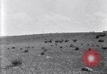 Image of U.S. Army 1st Cavalry Division maneuvers in Marfa, Texas Texas United States USA, 1923, second 59 stock footage video 65675036453