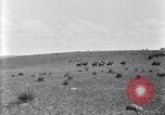 Image of U.S. Army 1st Cavalry Division maneuvers in Marfa, Texas Texas United States USA, 1923, second 60 stock footage video 65675036453
