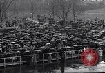 Image of Roosevelt's second inauguration Washington DC USA, 1937, second 1 stock footage video 65675036476