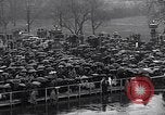 Image of Roosevelt's second inauguration Washington DC USA, 1937, second 9 stock footage video 65675036476