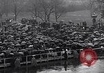 Image of Roosevelt's second inauguration Washington DC USA, 1937, second 10 stock footage video 65675036476
