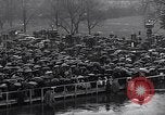 Image of Roosevelt's second inauguration Washington DC USA, 1937, second 15 stock footage video 65675036476