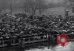 Image of Roosevelt's second inauguration Washington DC USA, 1937, second 16 stock footage video 65675036476