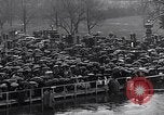 Image of Roosevelt's second inauguration Washington DC USA, 1937, second 17 stock footage video 65675036476