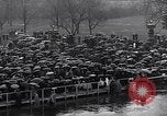 Image of Roosevelt's second inauguration Washington DC USA, 1937, second 20 stock footage video 65675036476
