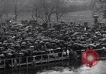 Image of Roosevelt's second inauguration Washington DC USA, 1937, second 22 stock footage video 65675036476
