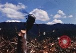 Image of United States Marine Corps Vietnam, 1967, second 1 stock footage video 65675036481