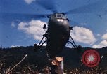 Image of United States Marine Corps Vietnam, 1967, second 7 stock footage video 65675036481