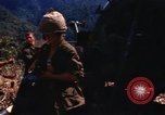 Image of United States Marine Corps Vietnam, 1967, second 19 stock footage video 65675036481