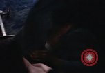 Image of United States Marine Corps Vietnam, 1967, second 22 stock footage video 65675036481