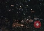 Image of United States Marine Corps Vietnam, 1967, second 3 stock footage video 65675036482