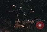 Image of United States Marine Corps Vietnam, 1967, second 4 stock footage video 65675036482