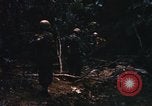 Image of United States Marine Corps Vietnam, 1967, second 5 stock footage video 65675036482