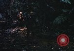 Image of United States Marine Corps Vietnam, 1967, second 7 stock footage video 65675036482