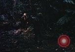 Image of United States Marine Corps Vietnam, 1967, second 8 stock footage video 65675036482