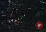 Image of United States Marine Corps Vietnam, 1967, second 9 stock footage video 65675036482