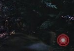 Image of United States Marine Corps Vietnam, 1967, second 12 stock footage video 65675036482