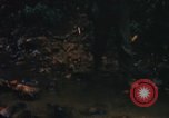 Image of United States Marine Corps Vietnam, 1967, second 15 stock footage video 65675036482