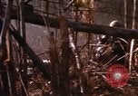 Image of United States Marine Corps Vietnam, 1967, second 31 stock footage video 65675036482