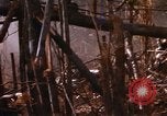 Image of United States Marine Corps Vietnam, 1967, second 32 stock footage video 65675036482