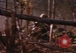 Image of United States Marine Corps Vietnam, 1967, second 33 stock footage video 65675036482