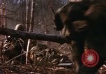 Image of United States Marine Corps Vietnam, 1967, second 34 stock footage video 65675036482