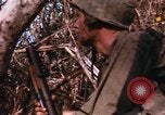Image of United States Marine Corps Vietnam, 1967, second 40 stock footage video 65675036482