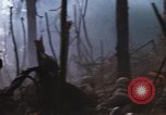 Image of United States Marine Corps Vietnam, 1967, second 53 stock footage video 65675036482