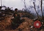 Image of United States Marine Corps Vietnam, 1967, second 11 stock footage video 65675036483