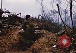 Image of United States Marine Corps Vietnam, 1967, second 13 stock footage video 65675036483