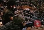 Image of United States Marine Corps Vietnam, 1967, second 22 stock footage video 65675036483